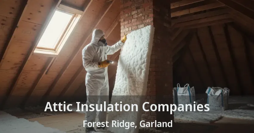 Attic Insulation Companies Forest Ridge, Garland - TX