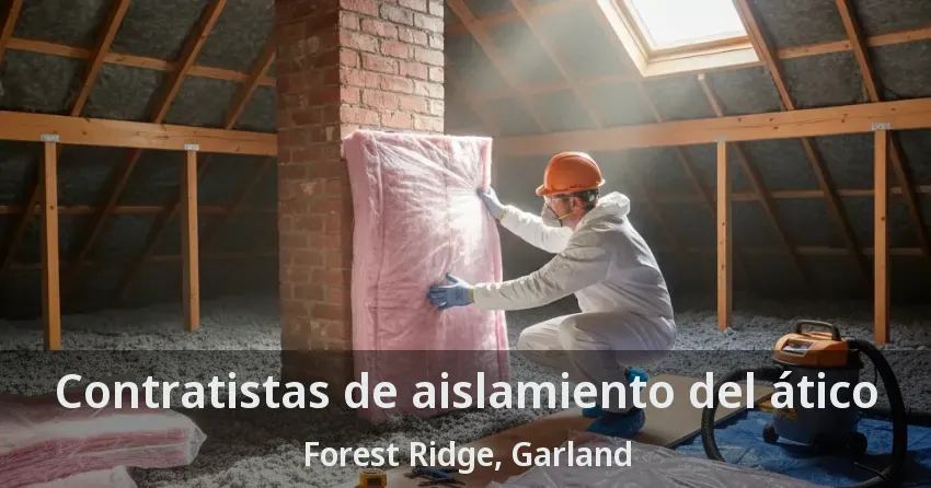 Contratistas de aislamiento del ático Forest Ridge, Garland - TX