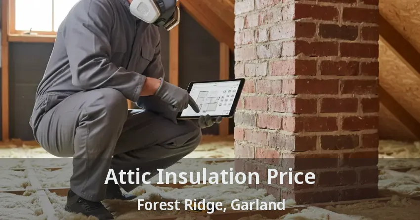 Attic Insulation Price Forest Ridge, Garland - TX