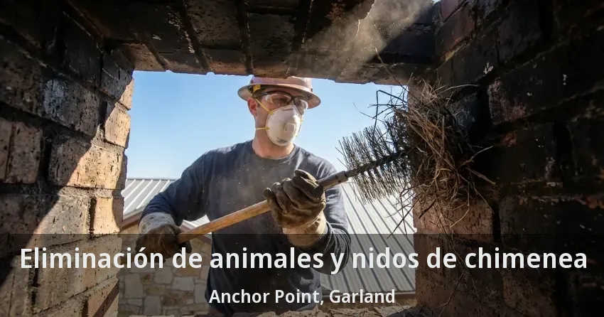 Eliminación de animales y nidos de chimenea Anchor Point, Garland - TX