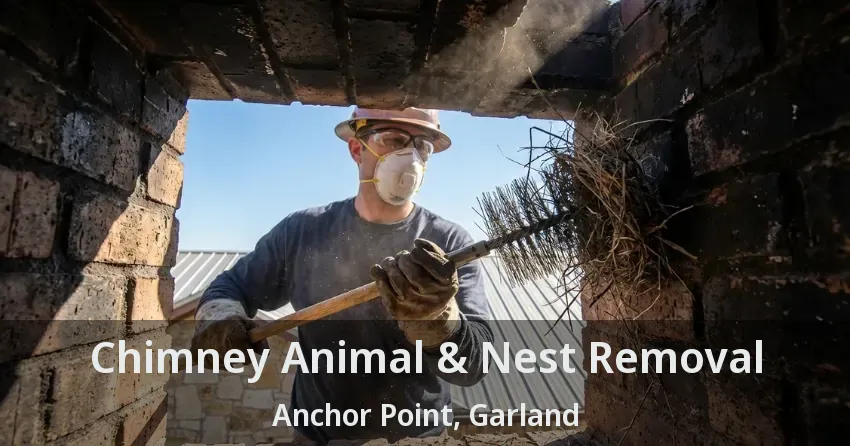 Chimney Animal & Nest Removal Anchor Point, Garland - TX
