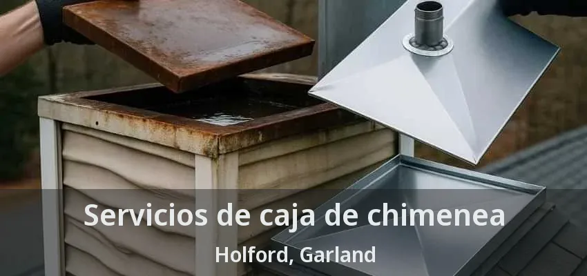 Servicios de caja de chimenea Holford, Garland - TX