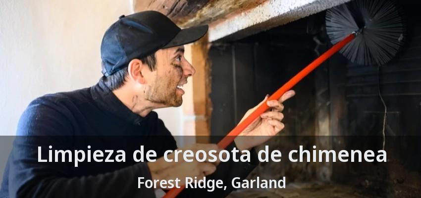 Limpieza de creosota de chimenea Forest Ridge, Garland - TX