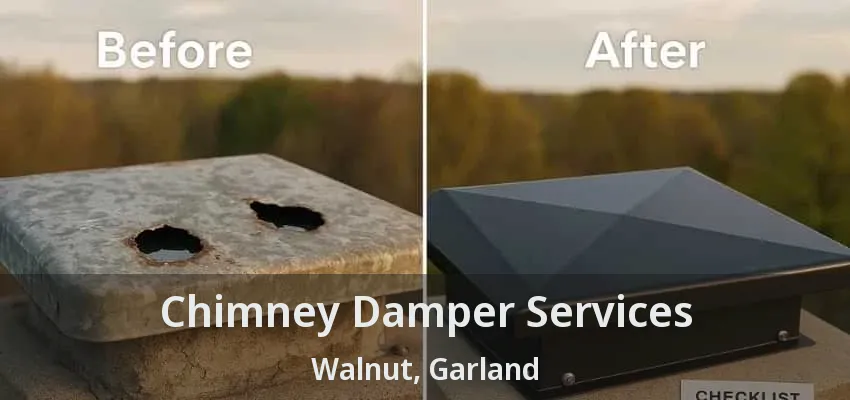 Chimney Damper Services Walnut, Garland - TX