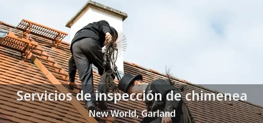 Servicios de inspección de chimenea New World, Garland - TX