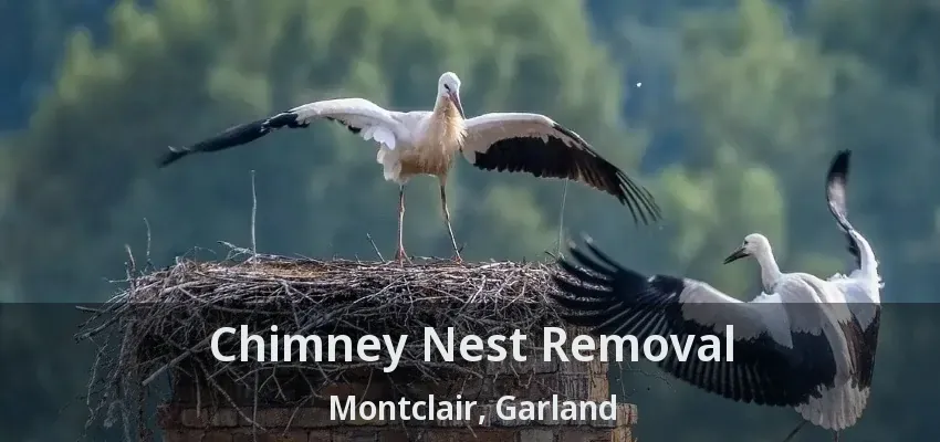Chimney Nest Removal Montclair, Garland - TX