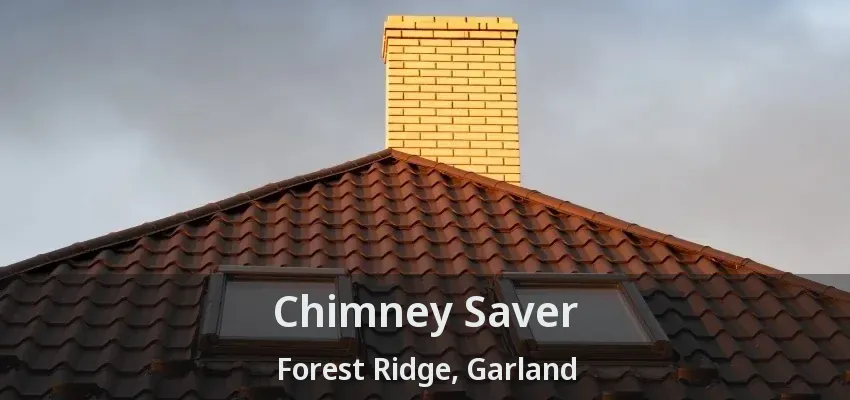 Chimney Saver Forest Ridge, Garland - TX