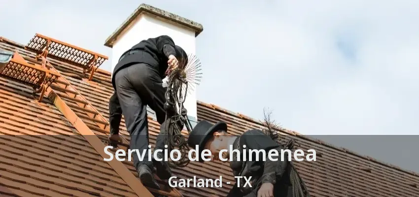 Servicio de chimenea Garland - TX