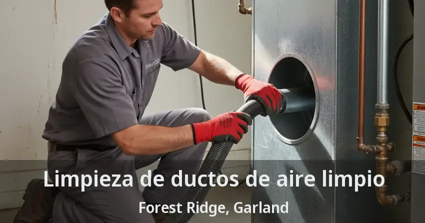 Limpieza de ductos de aire limpio Forest Ridge, Garland - TX