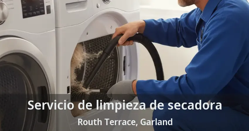 Servicio de limpieza de secadora Routh Terrace, Garland - TX