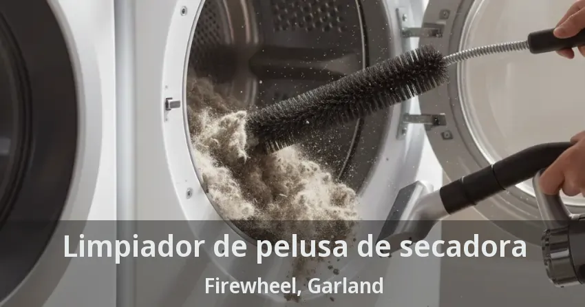 Limpiador de pelusa de secadora Firewheel, Garland - TX