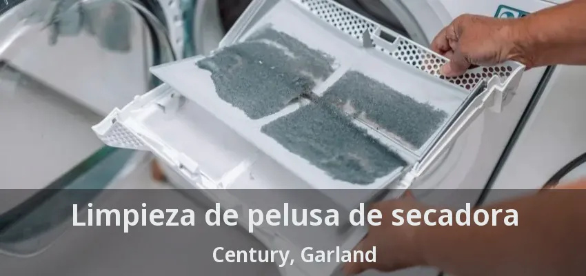 Limpieza de pelusa de secadora Century, Garland - TX