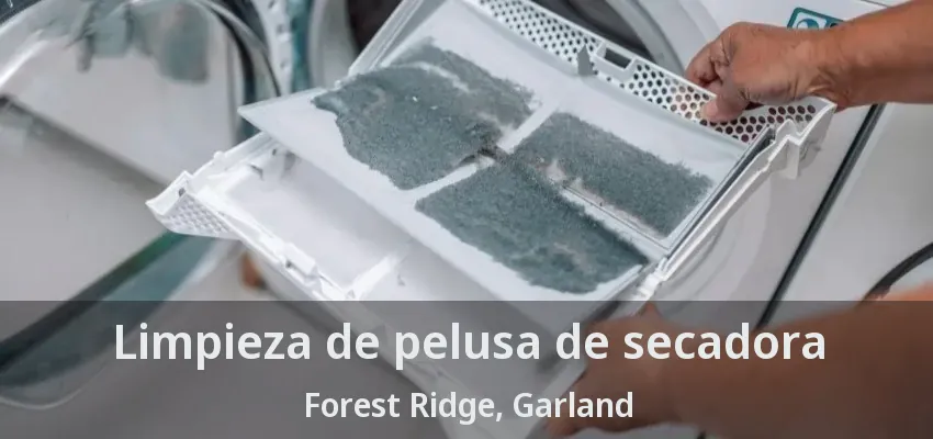 Limpieza de pelusa de secadora Forest Ridge, Garland - TX Limpieza de pelusa de secadora Forest Ridge, Garland - TX