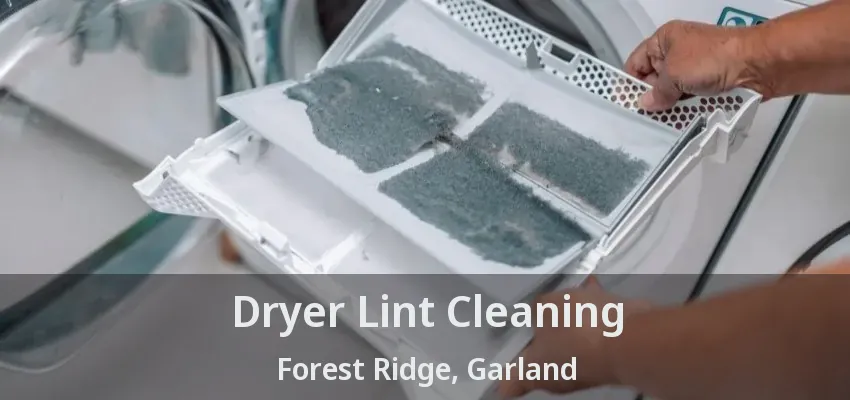 Dryer Lint Cleaning Forest Ridge, Garland - TX