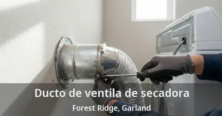 Ducto de ventila de secadora Forest Ridge, Garland - TX Ducto de ventila de secadora Forest Ridge, Garland - TX