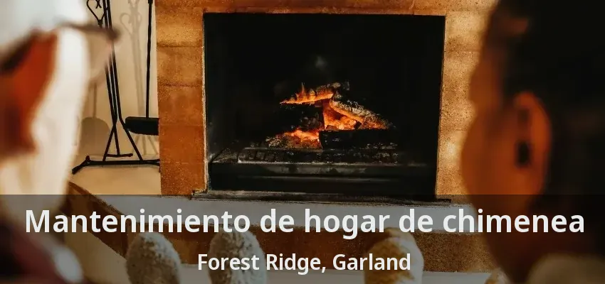 Mantenimiento de hogar de chimenea Forest Ridge, Garland - TX Mantenimiento de hogar de chimenea Forest Ridge, Garland - TX