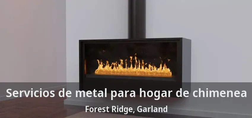Servicios de metal para hogar de chimenea Forest Ridge, Garland - TX