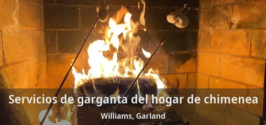 Servicios de garganta del hogar de chimenea Williams, Garland - TX
