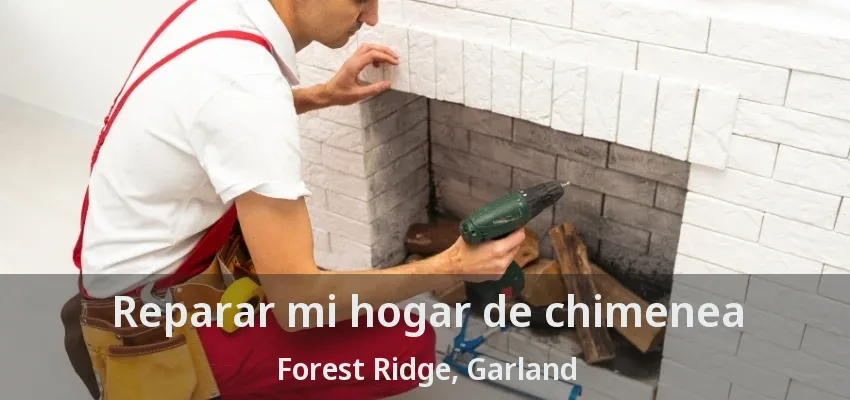 Reparar mi hogar de chimenea Forest Ridge, Garland - TX