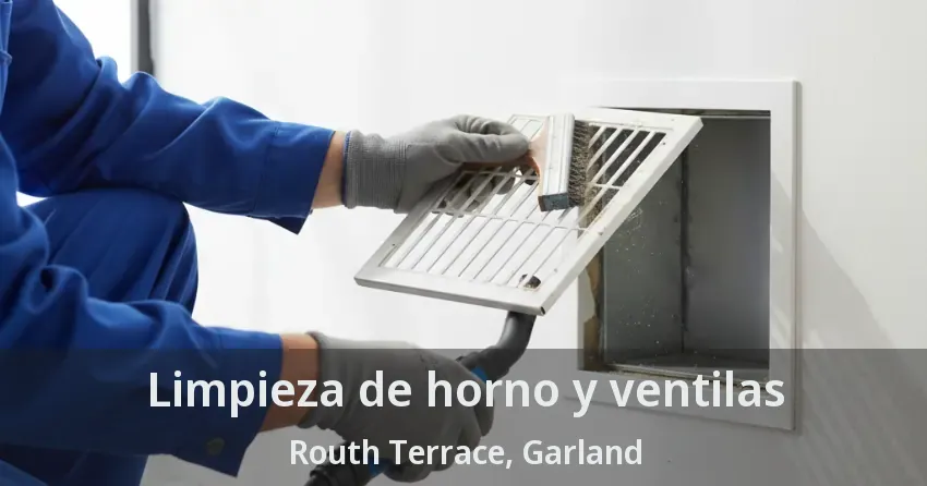 Limpieza de horno y ventilas Routh Terrace, Garland - TX