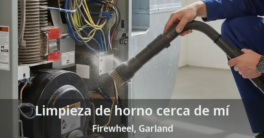 Limpieza de horno cerca de mí Firewheel, Garland - TX