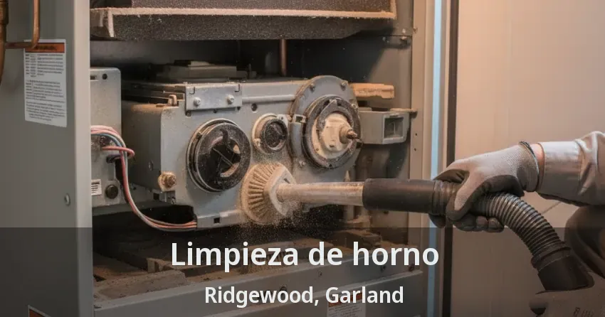 Limpieza de horno Ridgewood, Garland - TX