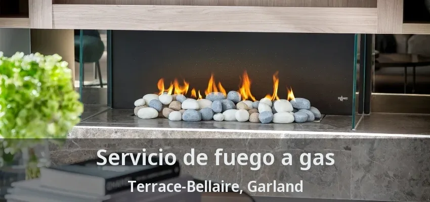 Servicio de fuego a gas Terrace-Bellaire, Garland - TX