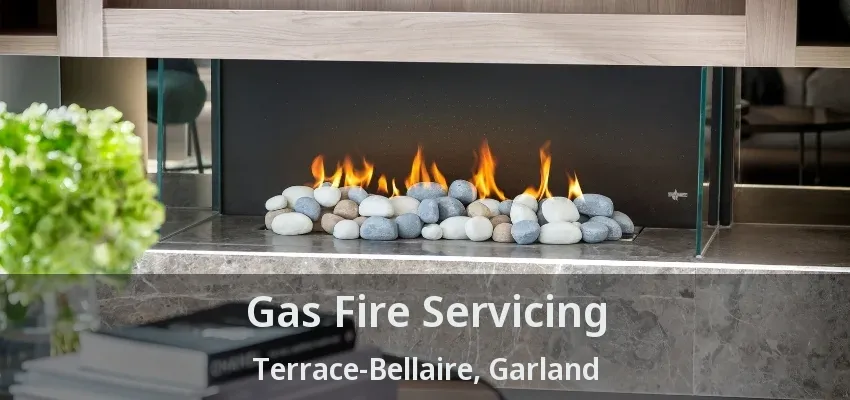 Gas Fire Servicing Terrace-Bellaire, Garland - TX