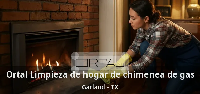 Ortal Limpieza de hogar de chimenea de gas Garland - TX