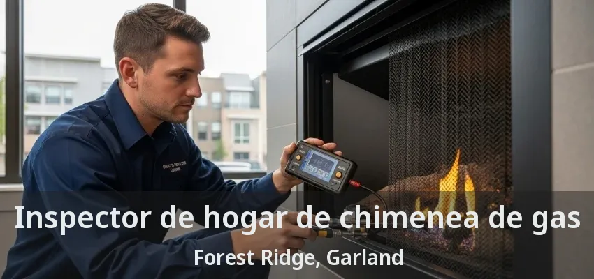 Inspector de hogar de chimenea de gas Forest Ridge, Garland - TX