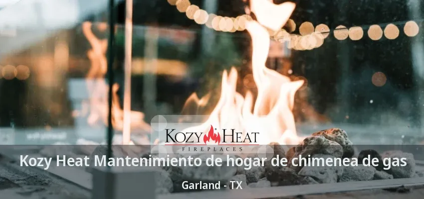 Kozy Heat Mantenimiento de hogar de chimenea de gas Garland - TX Kozy Heat Mantenimiento de hogar de chimenea de gas Garland - TX