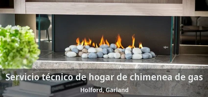 Servicio técnico de hogar de chimenea de gas Holford, Garland - TX