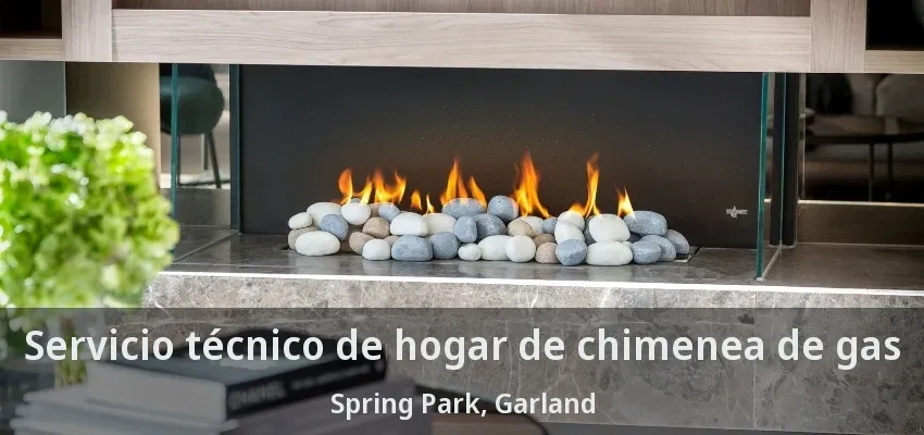 Servicio técnico de hogar de chimenea de gas Spring Park, Garland - TX