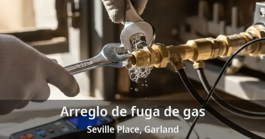Arreglo de fuga de gas Seville Place, Garland - TX
