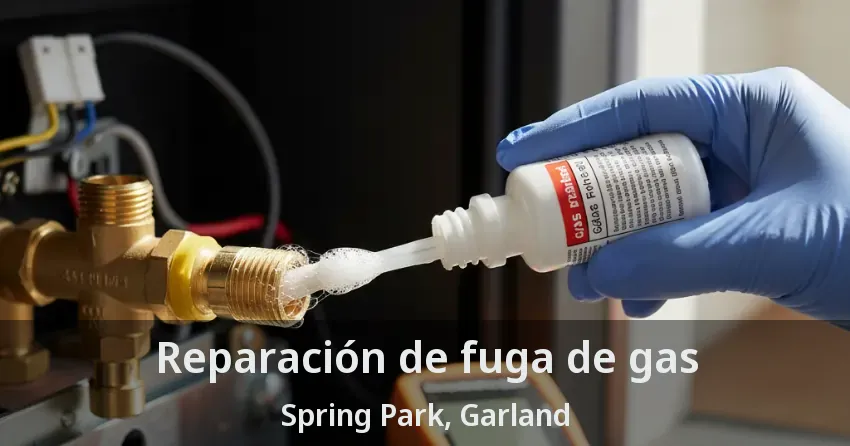 Reparación de fuga de gas Spring Park, Garland - TX