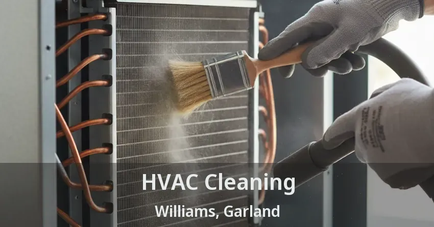 HVAC Cleaning Williams, Garland - TX
