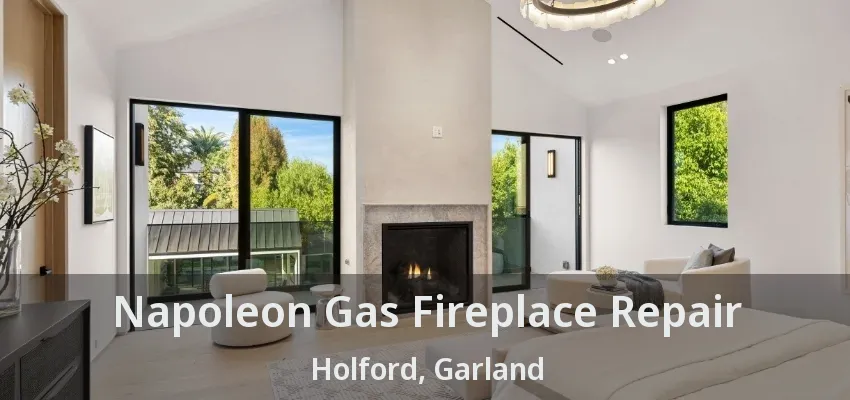 Napoleon Gas Fireplace Repair Holford, Garland - TX