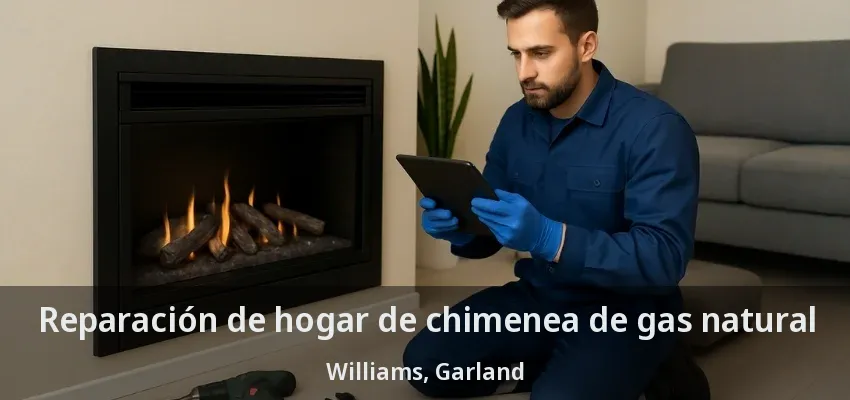 Reparación de hogar de chimenea de gas natural Williams, Garland - TX