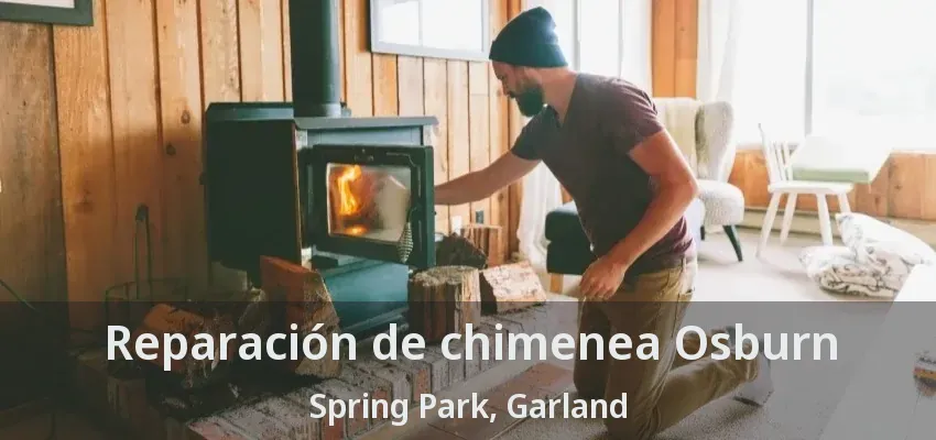 Reparación de chimenea Osburn Spring Park, Garland - TX
