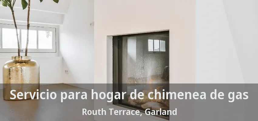 Servicio para hogar de chimenea de gas Routh Terrace, Garland - TX